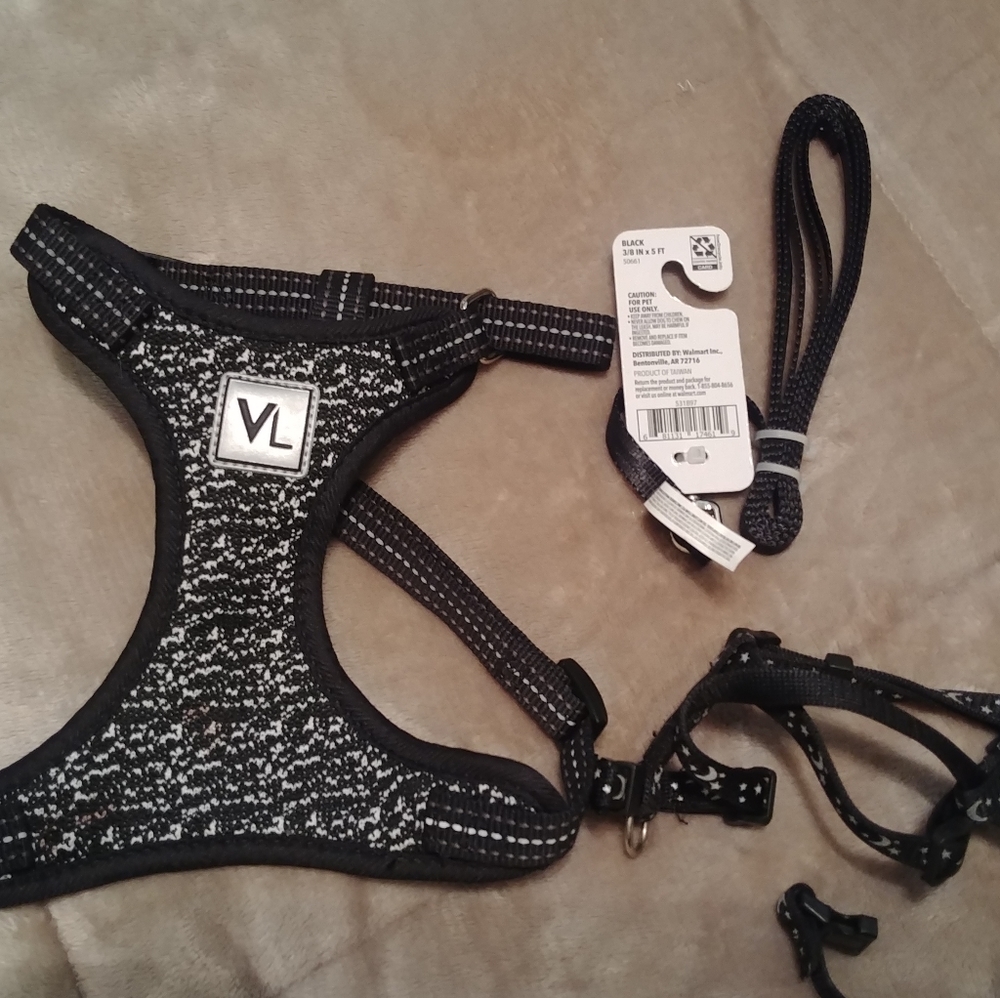 CAT Harnesses x 2.  Leash